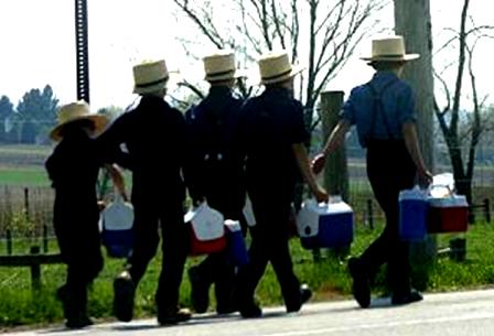 Amish Hoa Ky